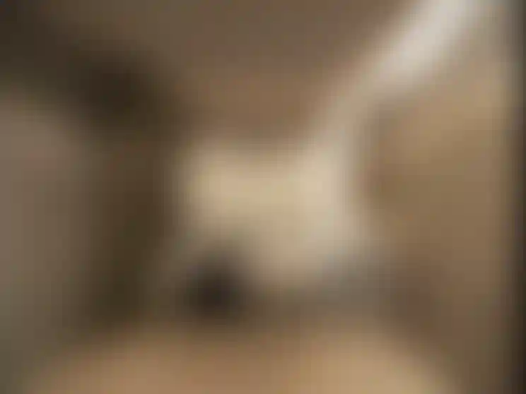 image for main block