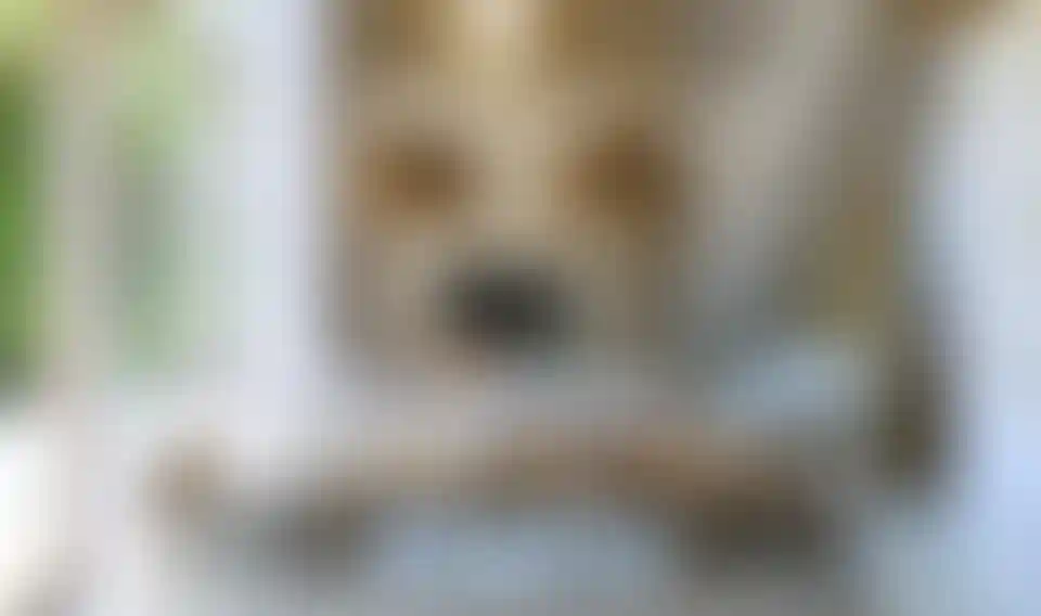 image for main block