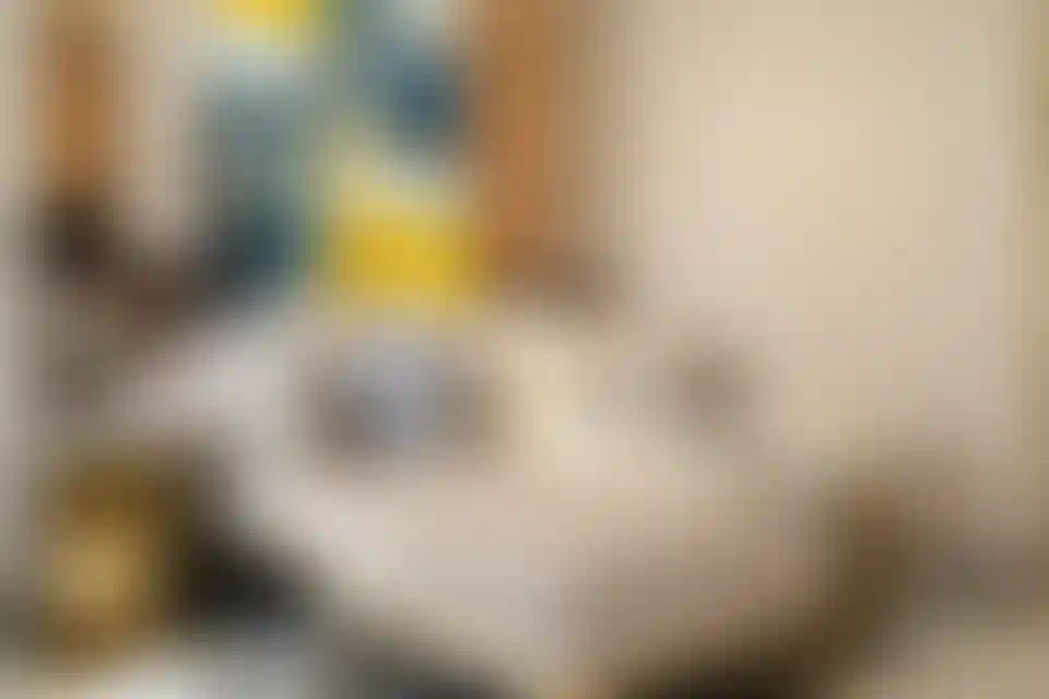 image for main block