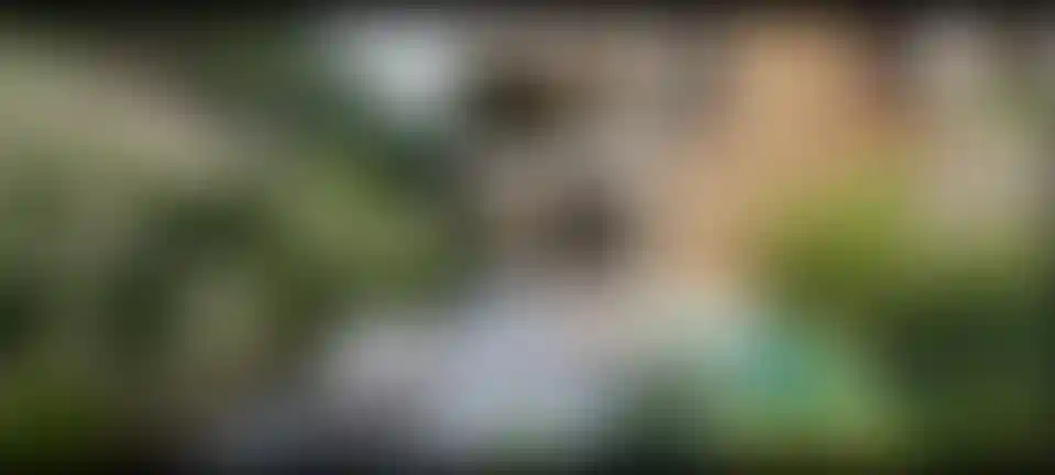 image for main block