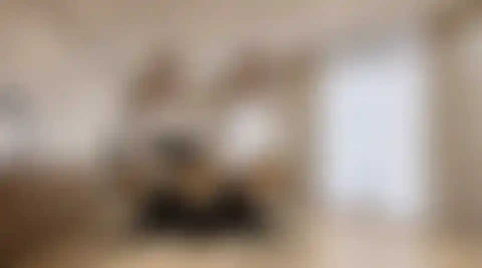 image for main block