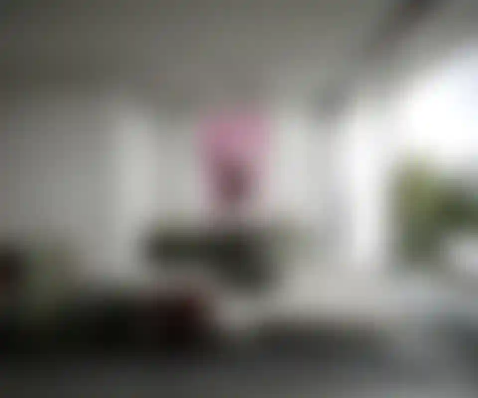 image for main block