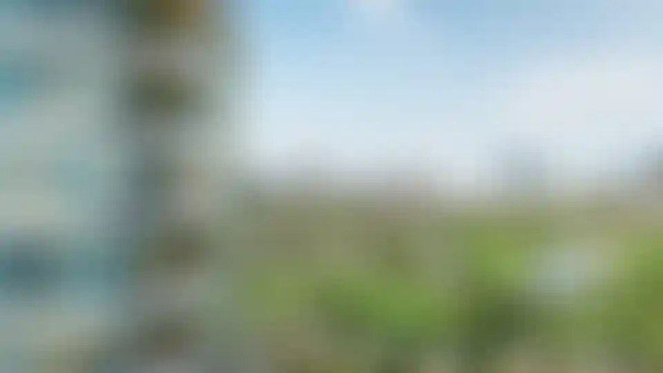 image for main block