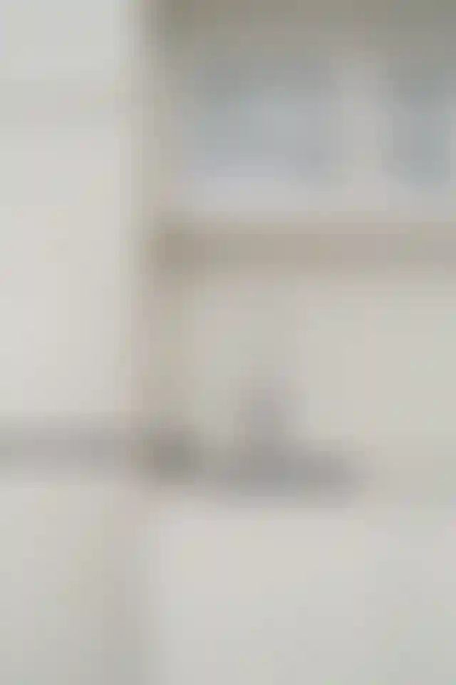 image for main block