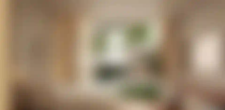 image for main block