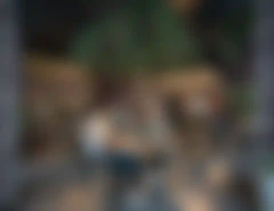 image for main block