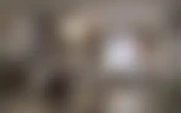 image for main block