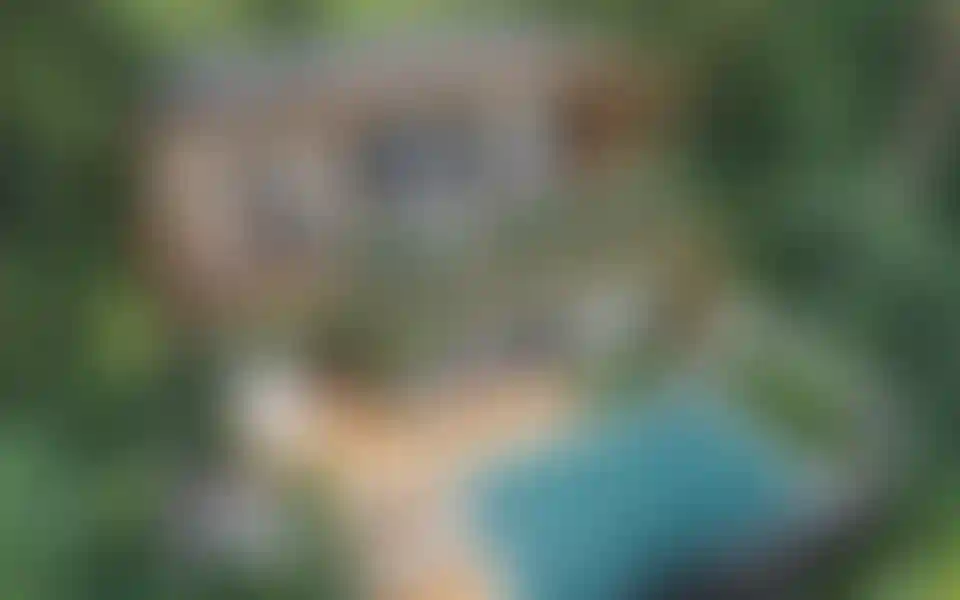 image for main block