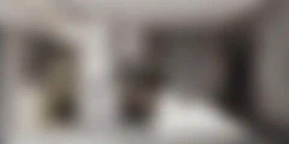 image for main block