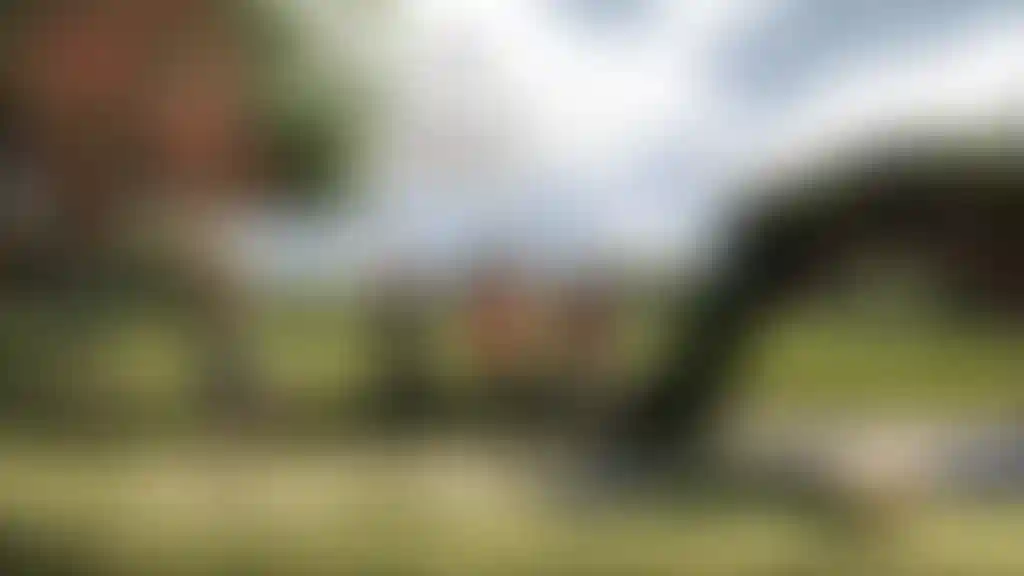 image for main block
