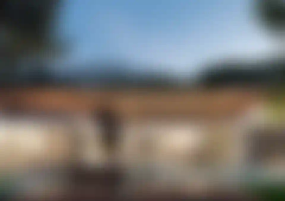 image for main block