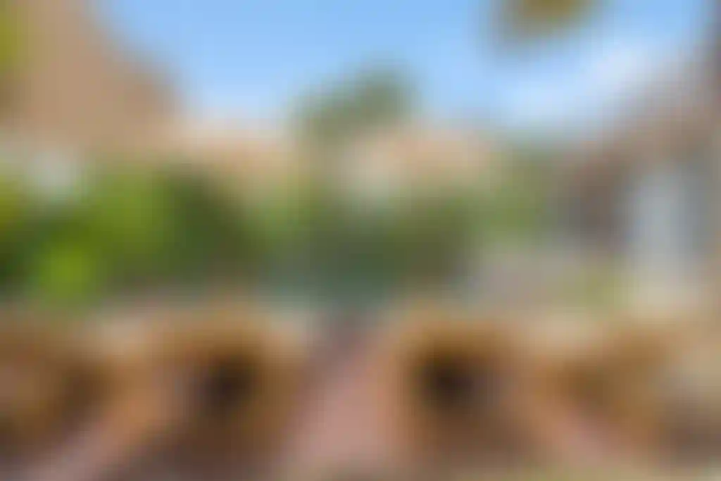 image for main block