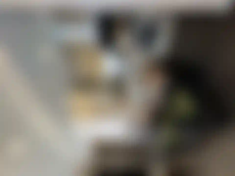 image for main block