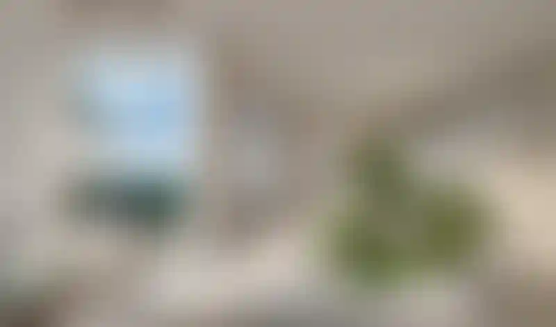 image for main block