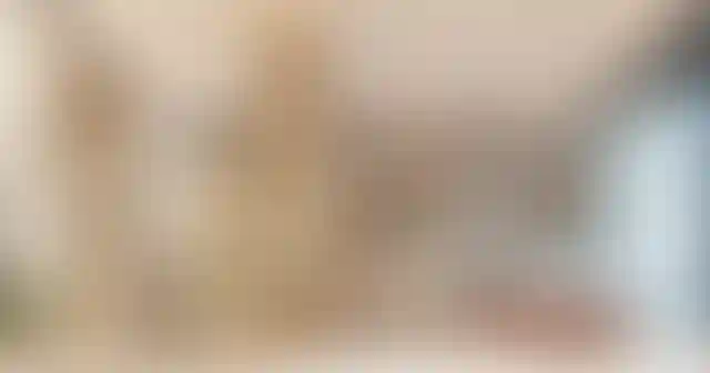 image for main block