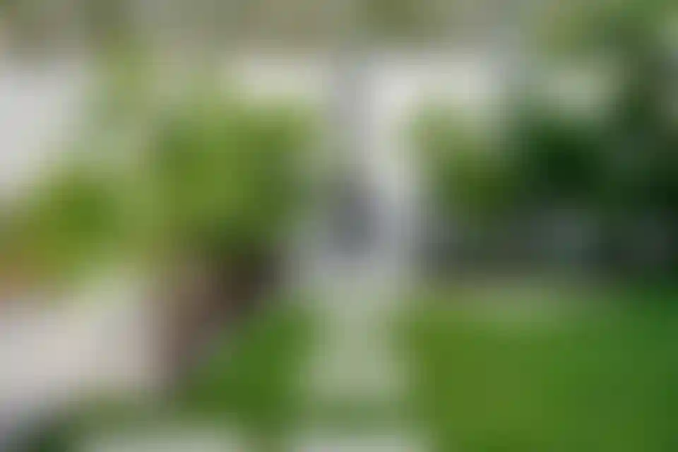 image for main block
