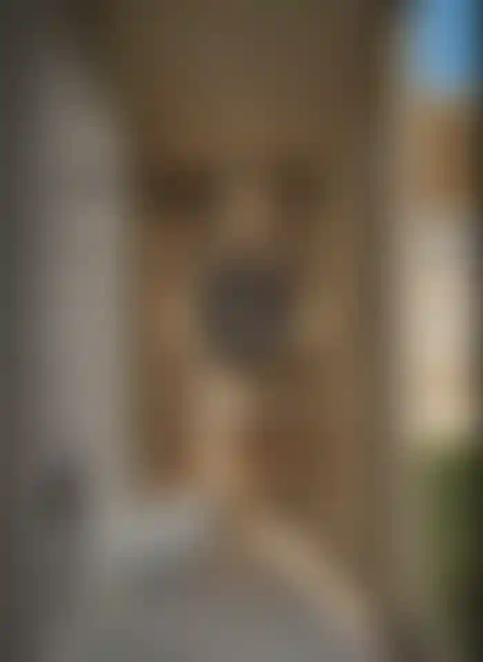 image for main block