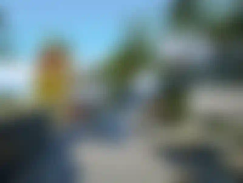 image for main block