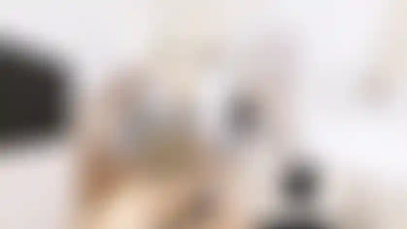 image for main block