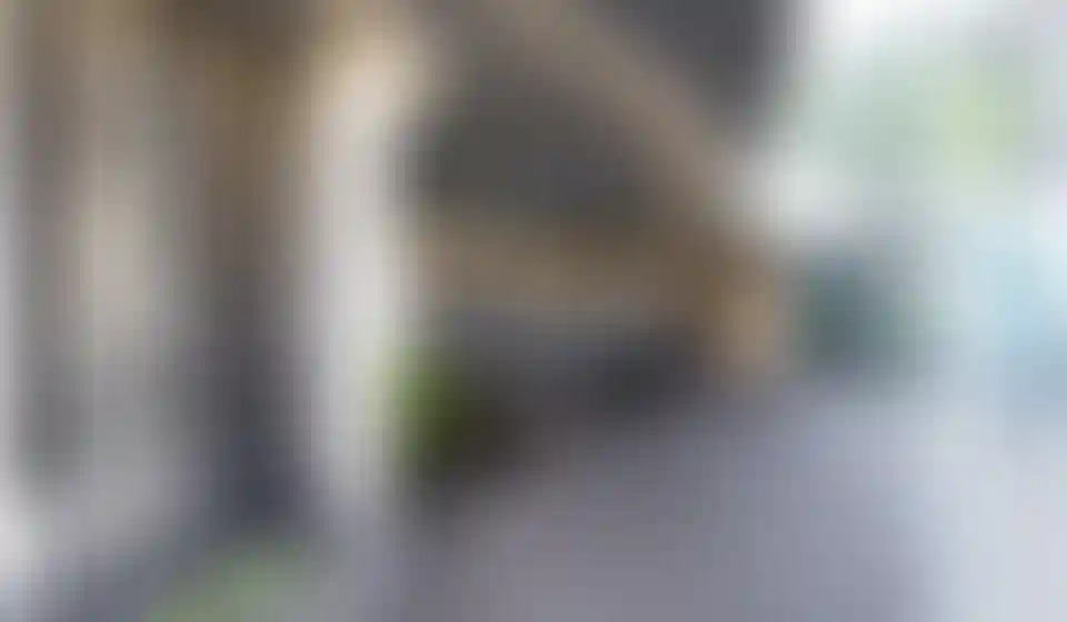 image for main block