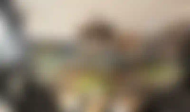 image for main block