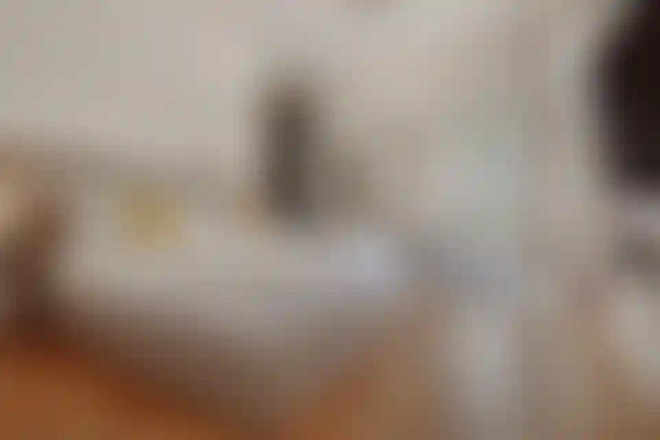 image for main block