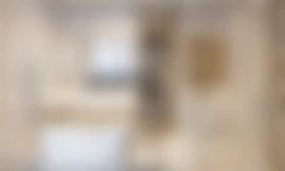 image for main block