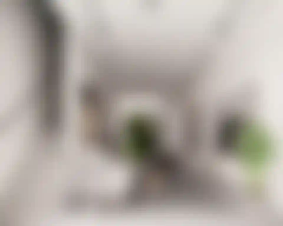 image for main block