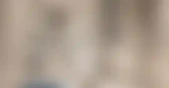 image for main block