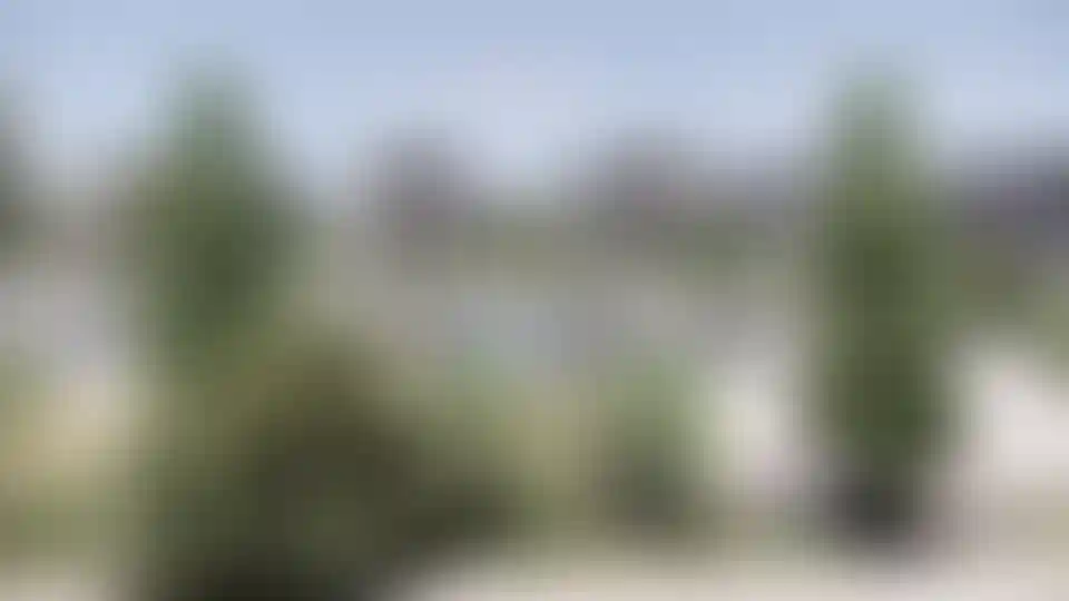 image for main block