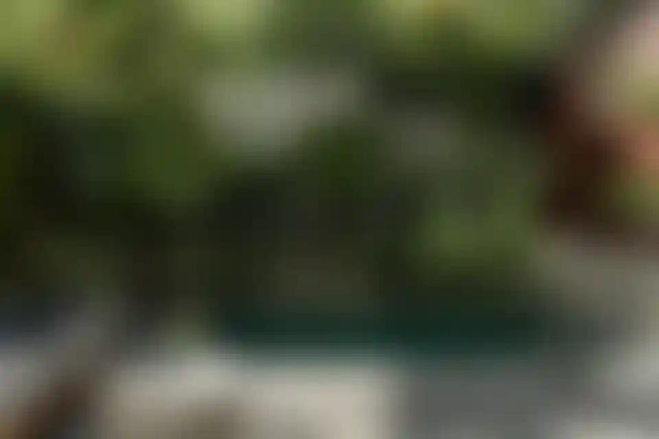 image for main block