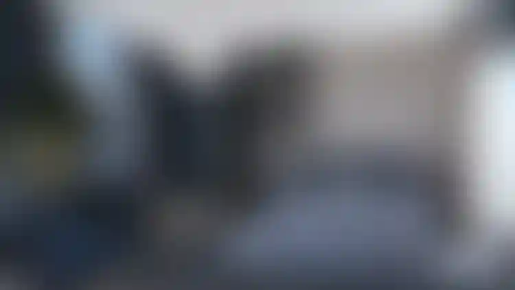 image for main block