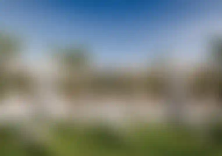 image for main block