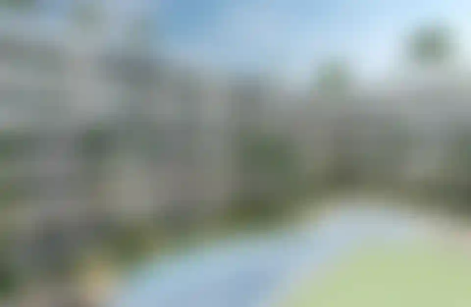 image for main block