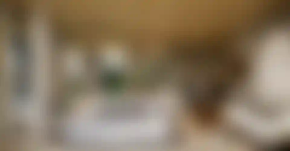 image for main block