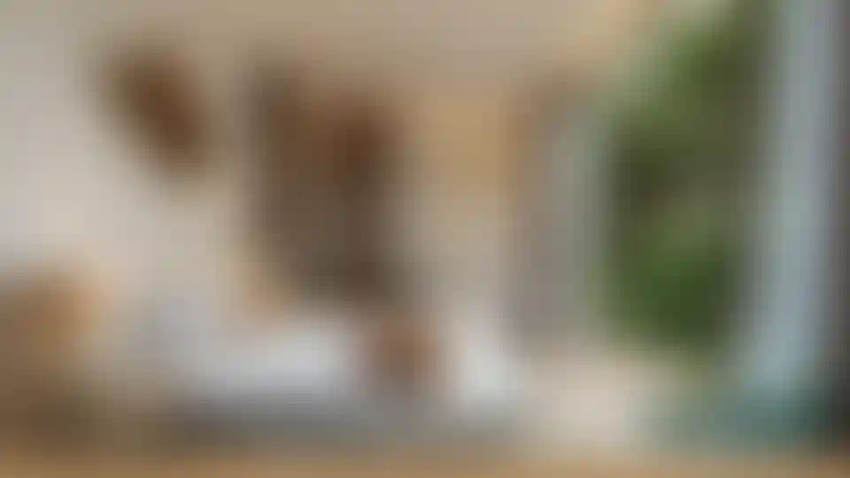 image for main block