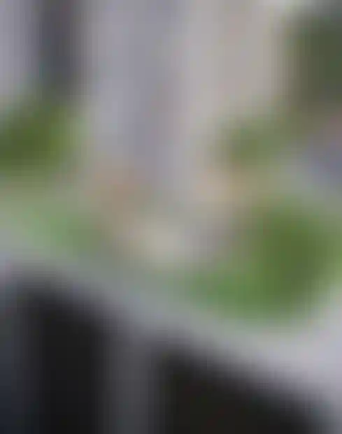 image for main block