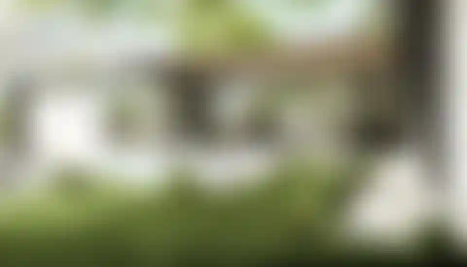 image for main block