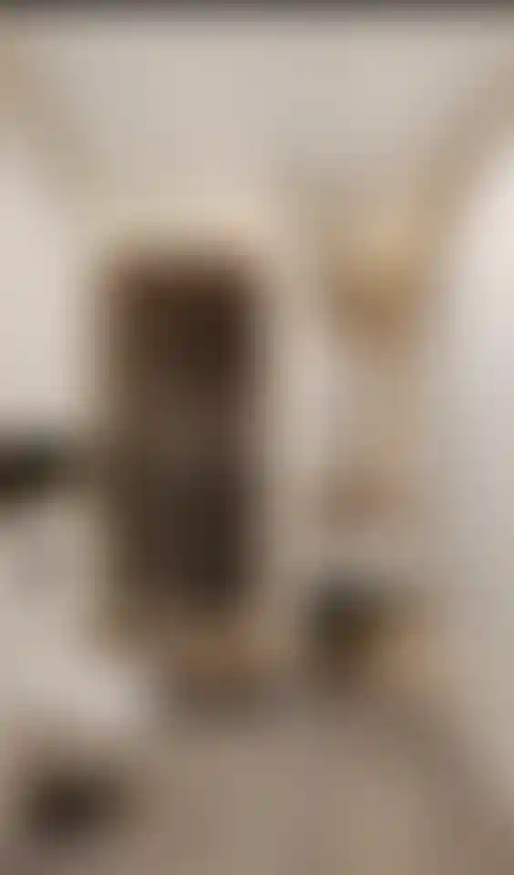 image for main block