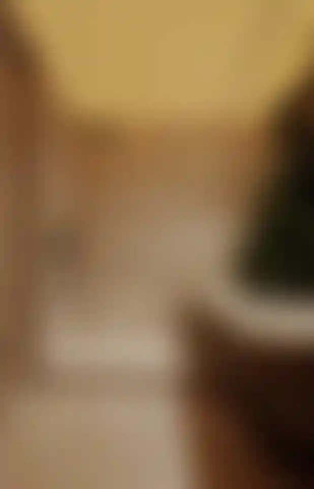 image for main block