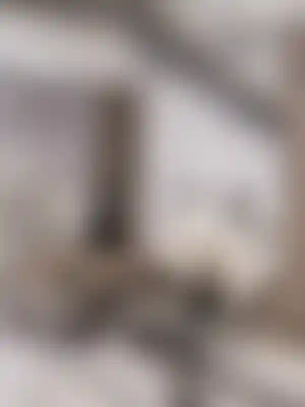 image for main block