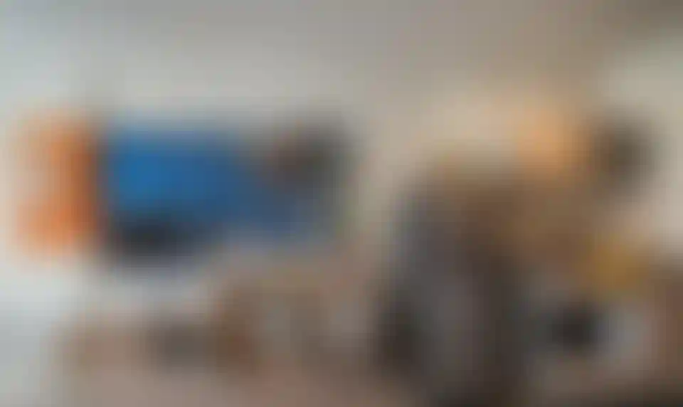 image for main block