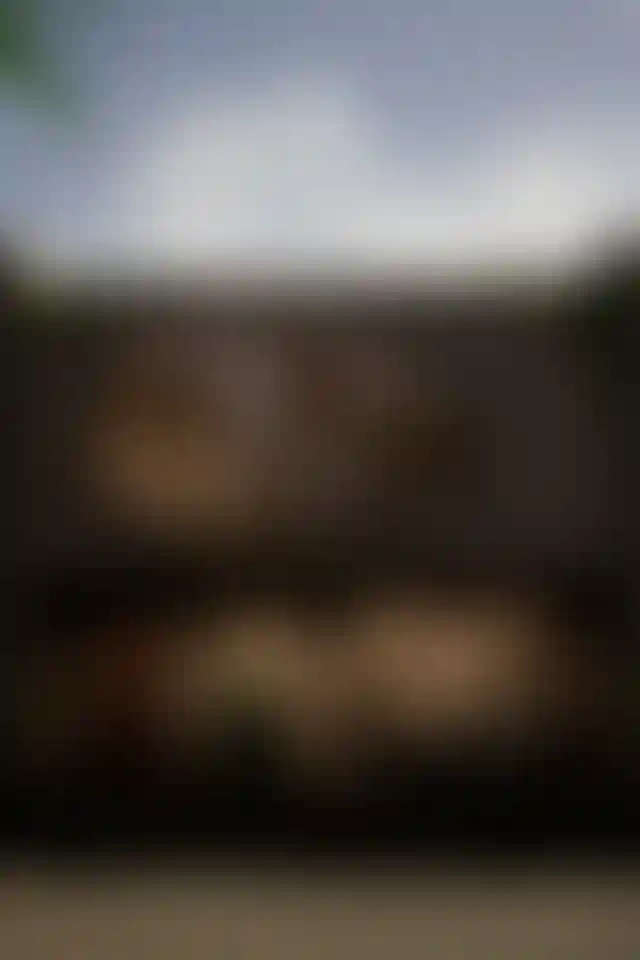 image for main block