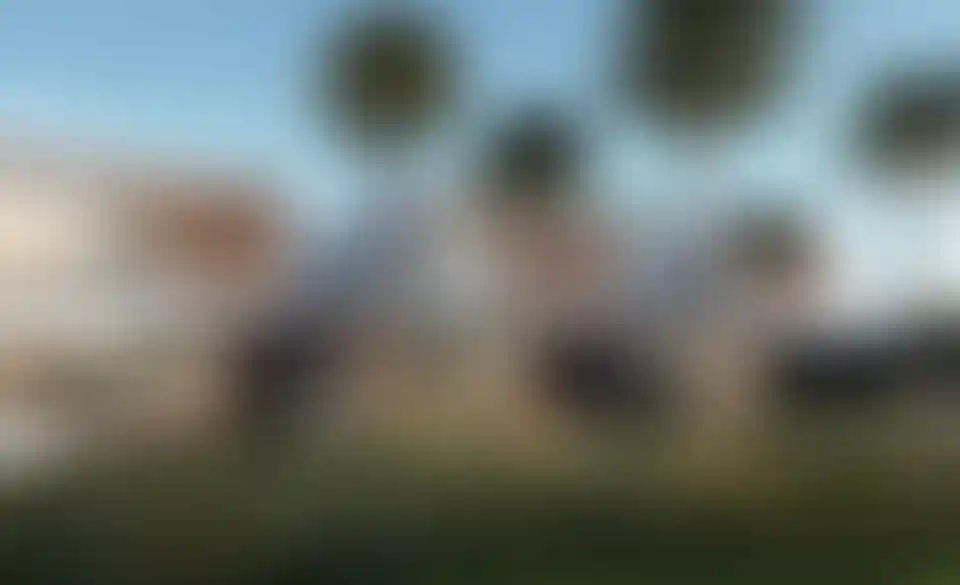 image for main block