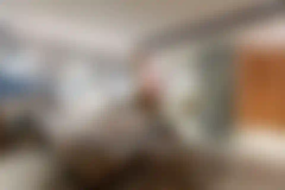 image for main block