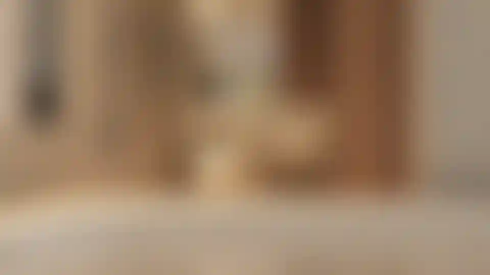 image for main block