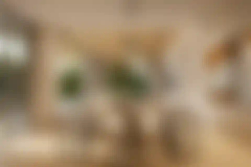 image for main block