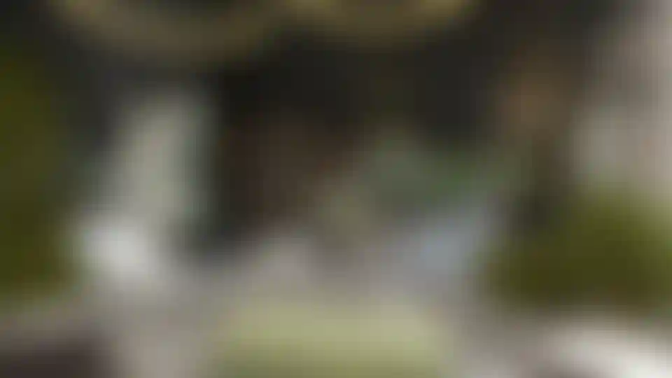 image for main block