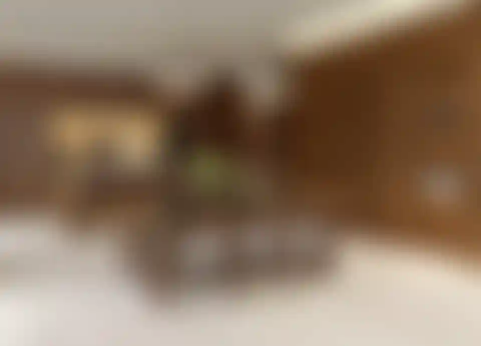 image for main block