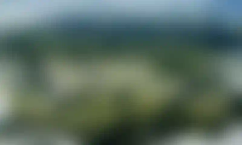 image for main block